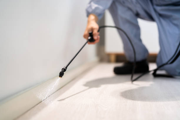 Rodent Entry Point Assessment in Goleta