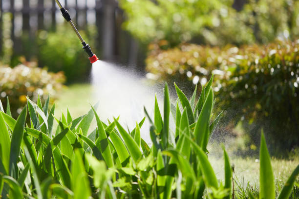 Tamper-Resistant Bait Stations for Rodents in Goleta