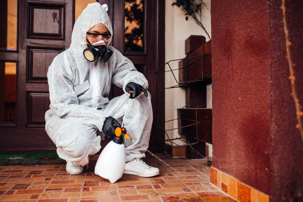 Attic and Crawl Space Rodent Treatment in Goleta